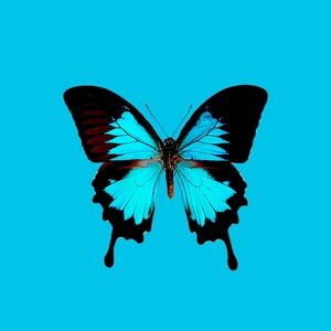 Meet your Posher, Jordy